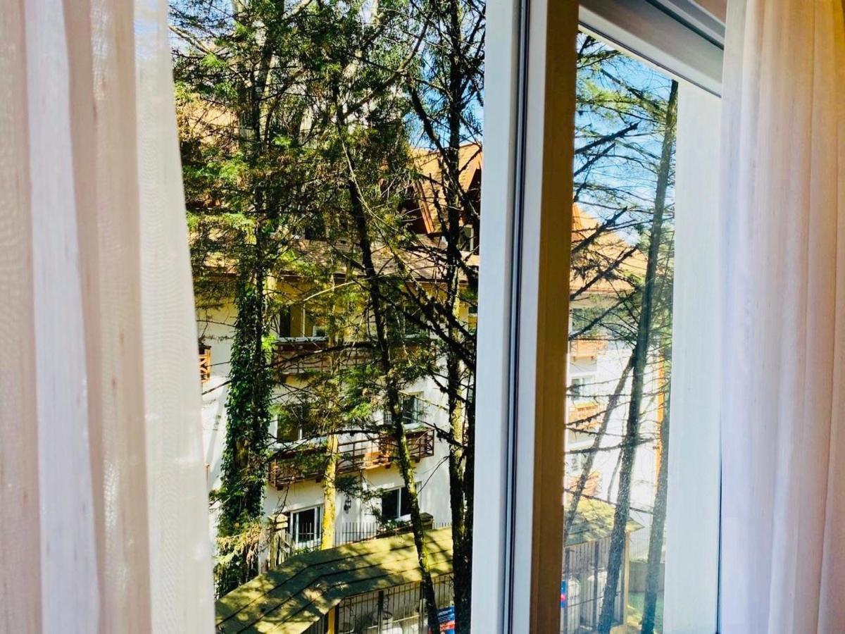 Mrg - Casa De Pedra - 2 Dormitorios グラマド エクステリア 写真